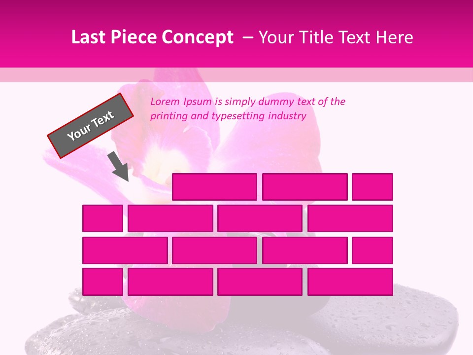 A Pink Flower Sitting On Top Of Black Rocks PowerPoint Template