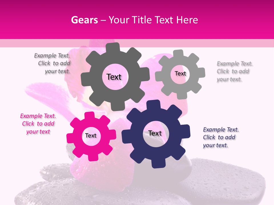 A Pink Flower Sitting On Top Of Black Rocks PowerPoint Template