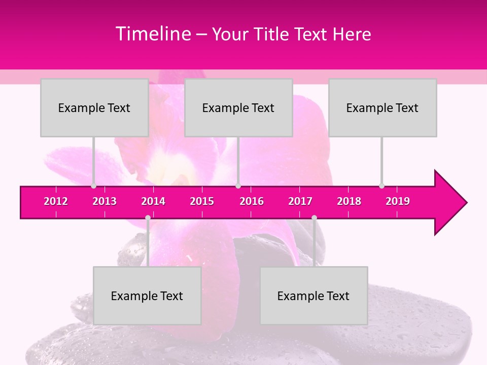 A Pink Flower Sitting On Top Of Black Rocks PowerPoint Template