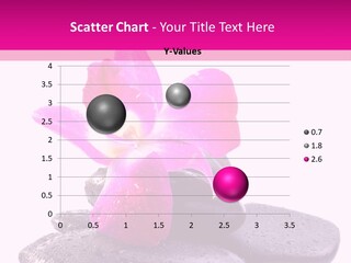 A Pink Flower Sitting On Top Of Black Rocks PowerPoint Template
