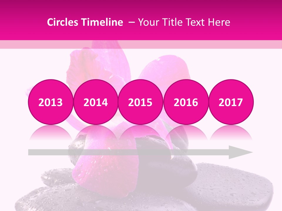 A Pink Flower Sitting On Top Of Black Rocks PowerPoint Template