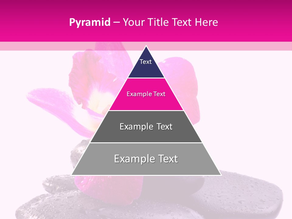 A Pink Flower Sitting On Top Of Black Rocks PowerPoint Template