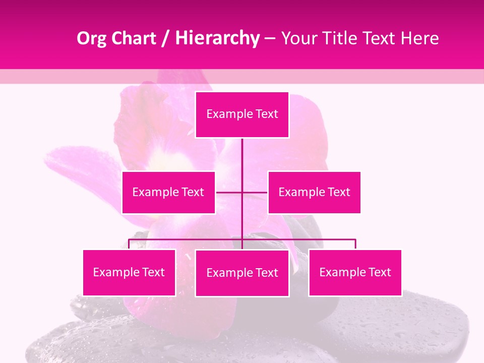 A Pink Flower Sitting On Top Of Black Rocks PowerPoint Template