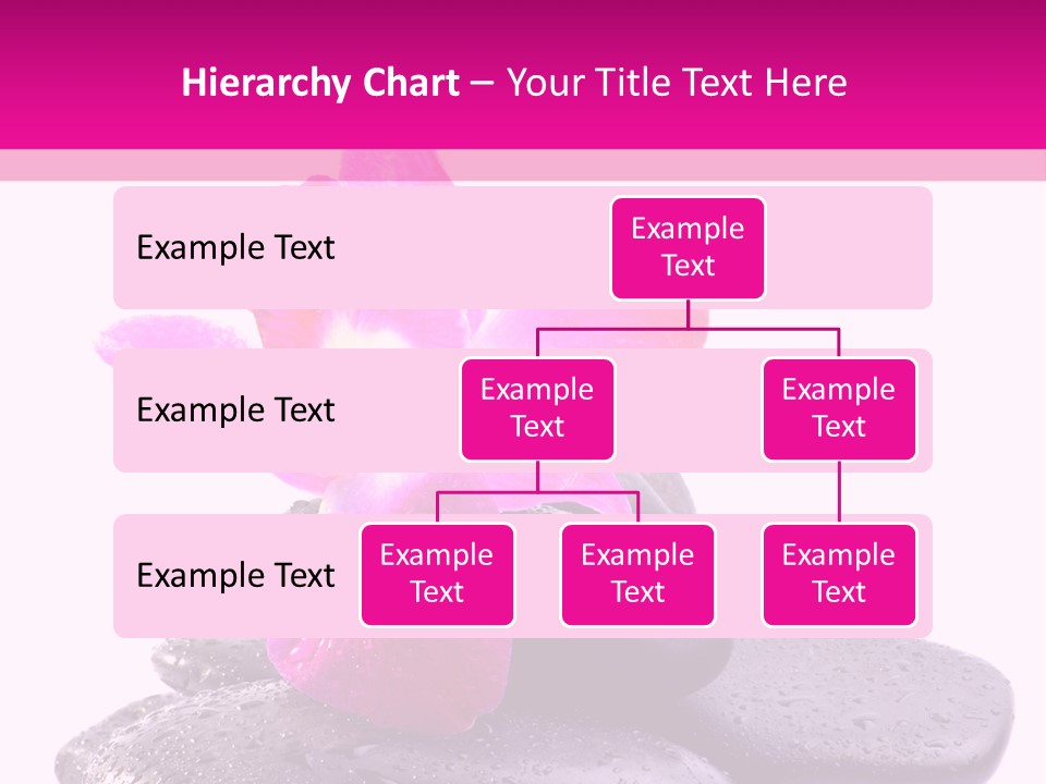 A Pink Flower Sitting On Top Of Black Rocks PowerPoint Template