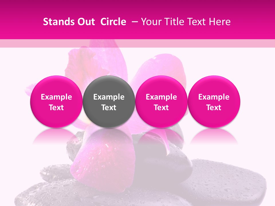 A Pink Flower Sitting On Top Of Black Rocks PowerPoint Template