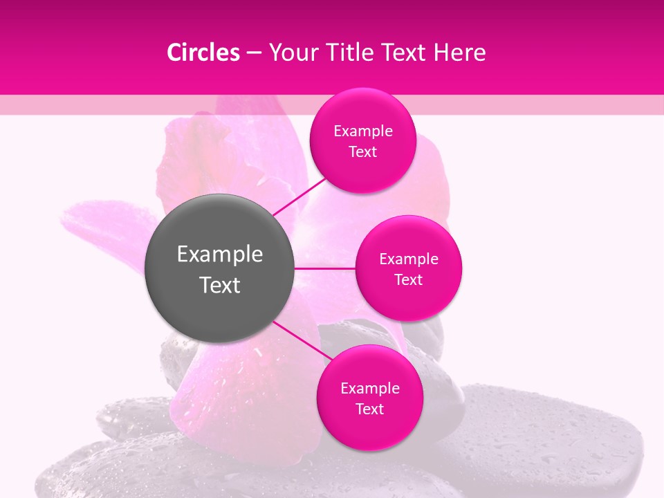 A Pink Flower Sitting On Top Of Black Rocks PowerPoint Template