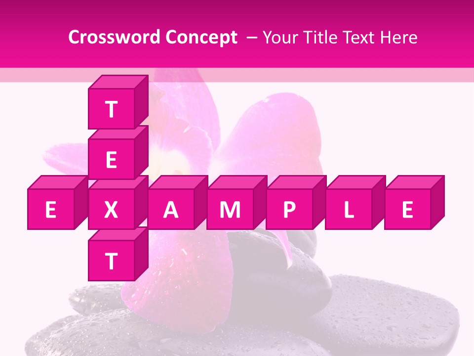 A Pink Flower Sitting On Top Of Black Rocks PowerPoint Template