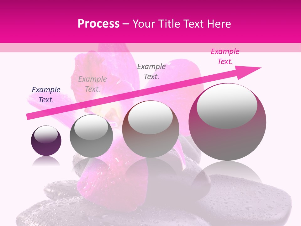 A Pink Flower Sitting On Top Of Black Rocks PowerPoint Template