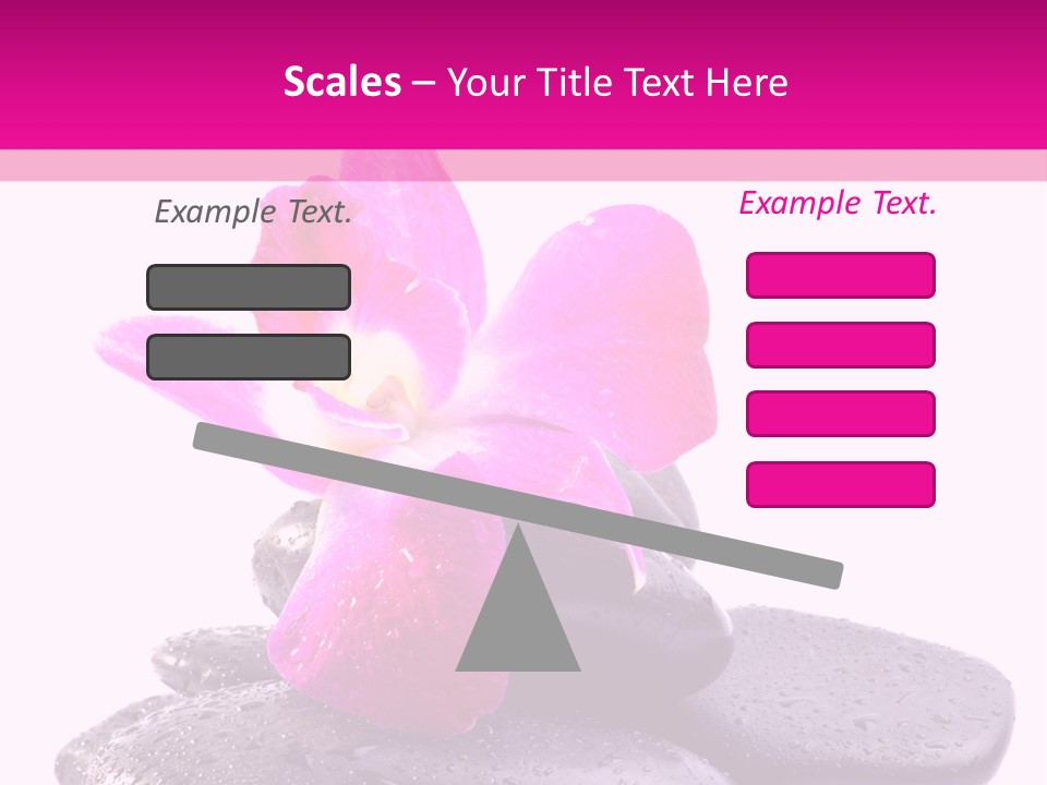 A Pink Flower Sitting On Top Of Black Rocks PowerPoint Template