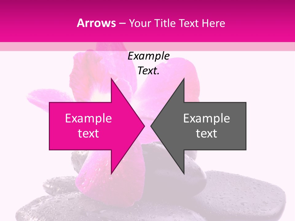 A Pink Flower Sitting On Top Of Black Rocks PowerPoint Template