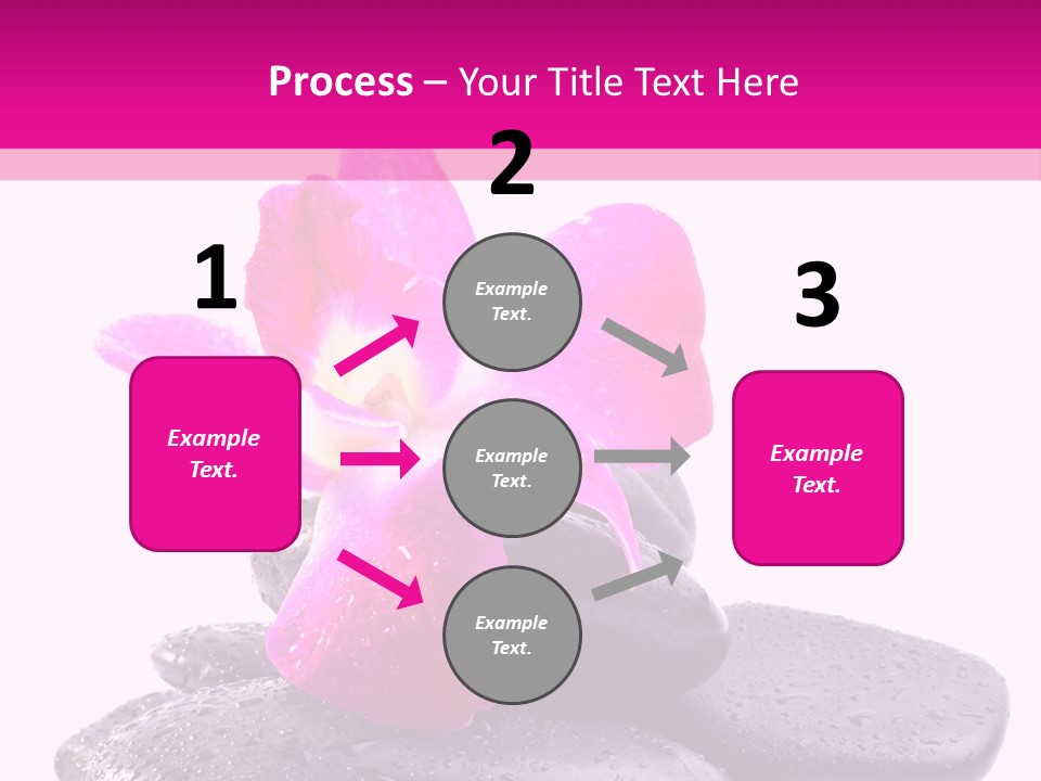 A Pink Flower Sitting On Top Of Black Rocks PowerPoint Template
