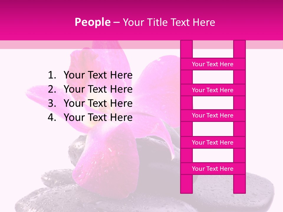 A Pink Flower Sitting On Top Of Black Rocks PowerPoint Template