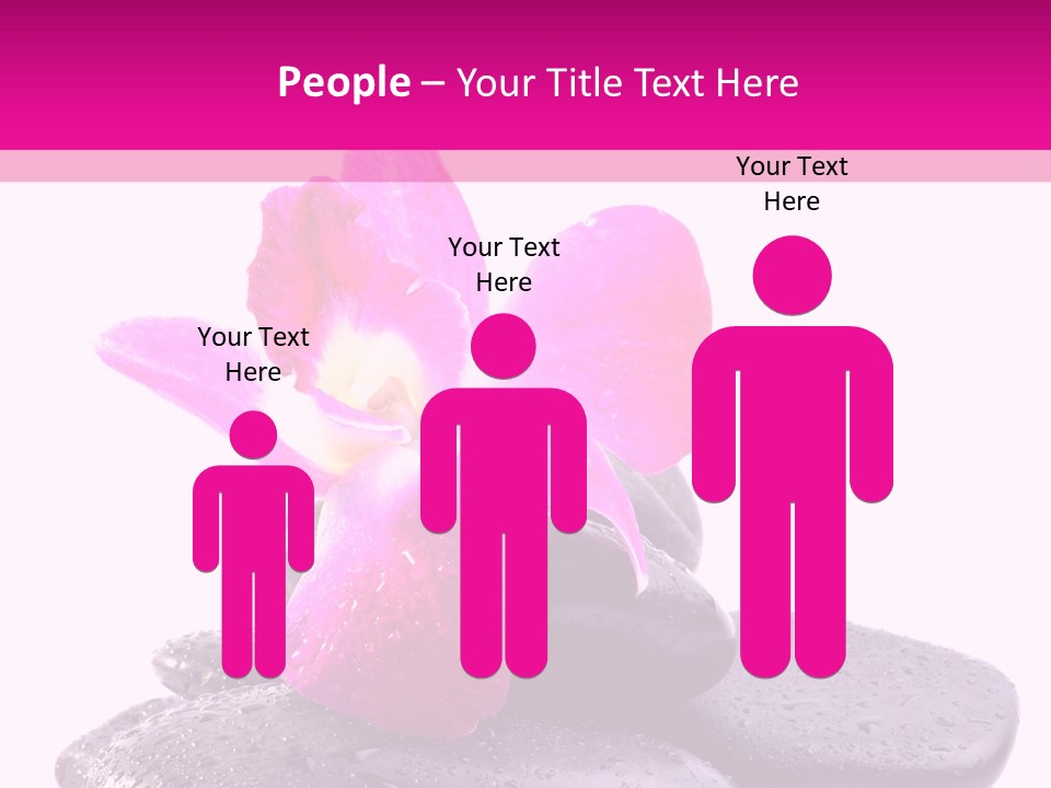 A Pink Flower Sitting On Top Of Black Rocks PowerPoint Template