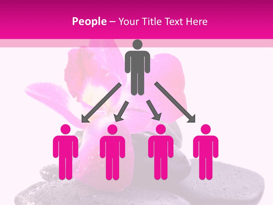 A Pink Flower Sitting On Top Of Black Rocks PowerPoint Template