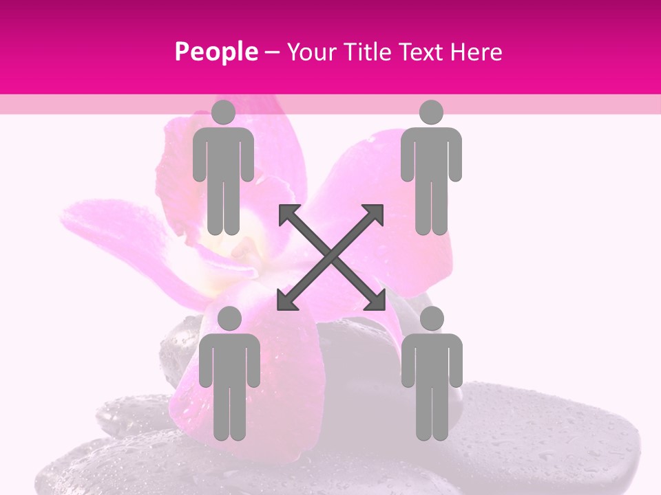 A Pink Flower Sitting On Top Of Black Rocks PowerPoint Template