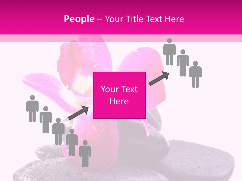 A Pink Flower Sitting On Top Of Black Rocks PowerPoint Template