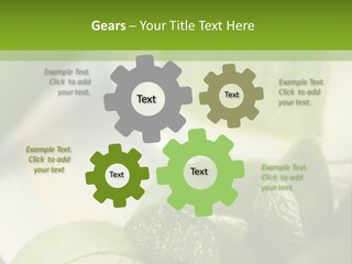 A Glass Filled With Green Liquid Next To Sliced Cucumbers PowerPoint Template