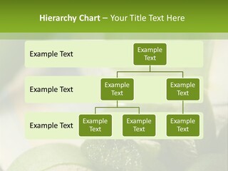 A Glass Filled With Green Liquid Next To Sliced Cucumbers PowerPoint Template