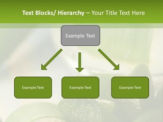 A Glass Filled With Green Liquid Next To Sliced Cucumbers PowerPoint Template