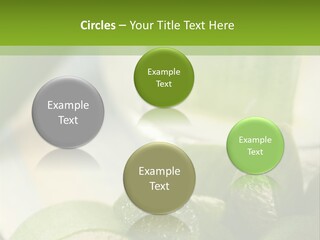 A Glass Filled With Green Liquid Next To Sliced Cucumbers PowerPoint Template