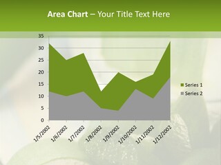 A Glass Filled With Green Liquid Next To Sliced Cucumbers PowerPoint Template