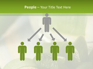 A Glass Filled With Green Liquid Next To Sliced Cucumbers PowerPoint Template