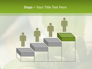 A Glass Filled With Green Liquid Next To Sliced Cucumbers PowerPoint Template