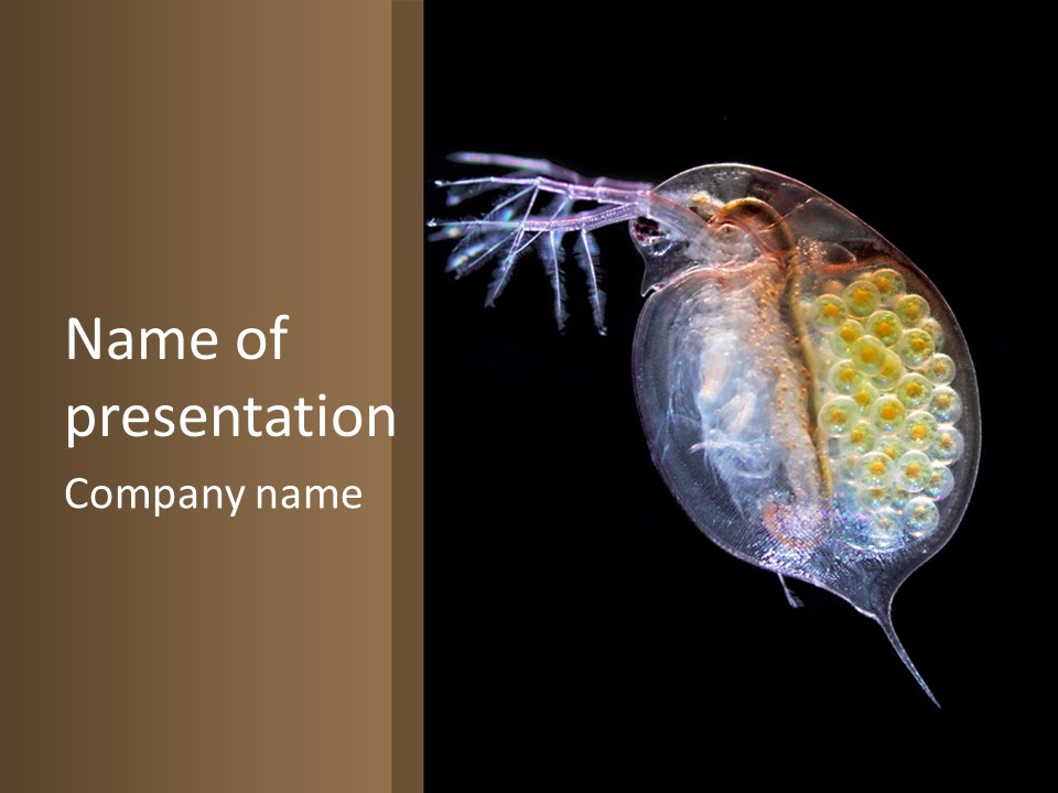 Biology Micro Lesson PowerPoint Template