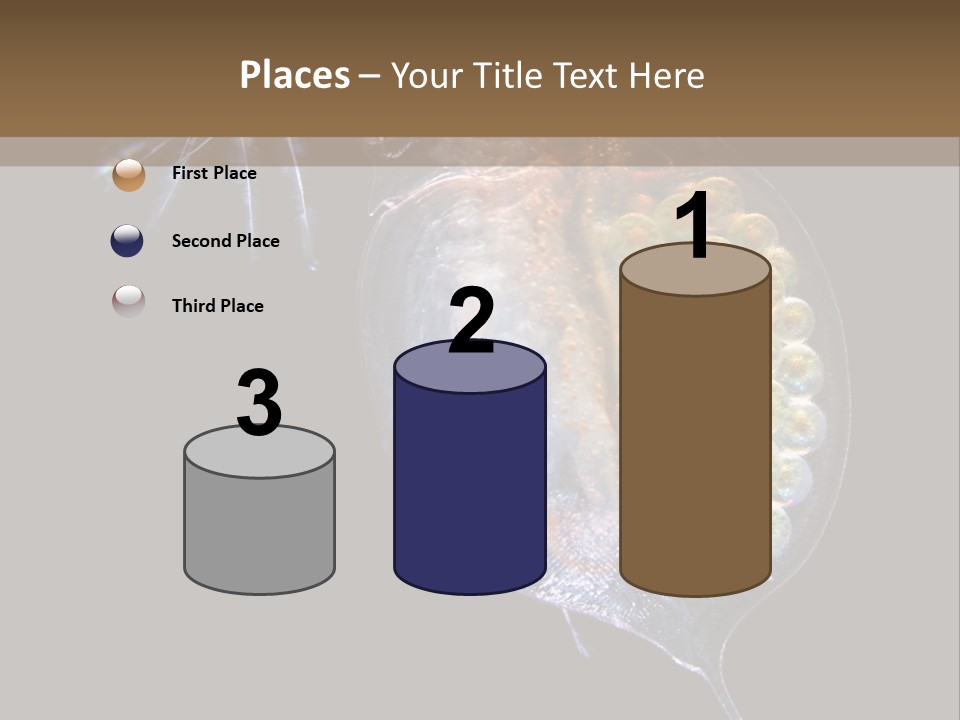 Biology Micro Lesson PowerPoint Template