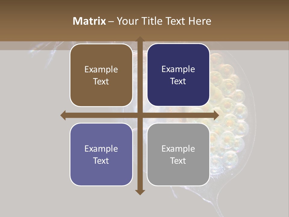 Biology Micro Lesson PowerPoint Template