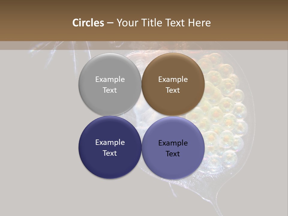 Biology Micro Lesson PowerPoint Template