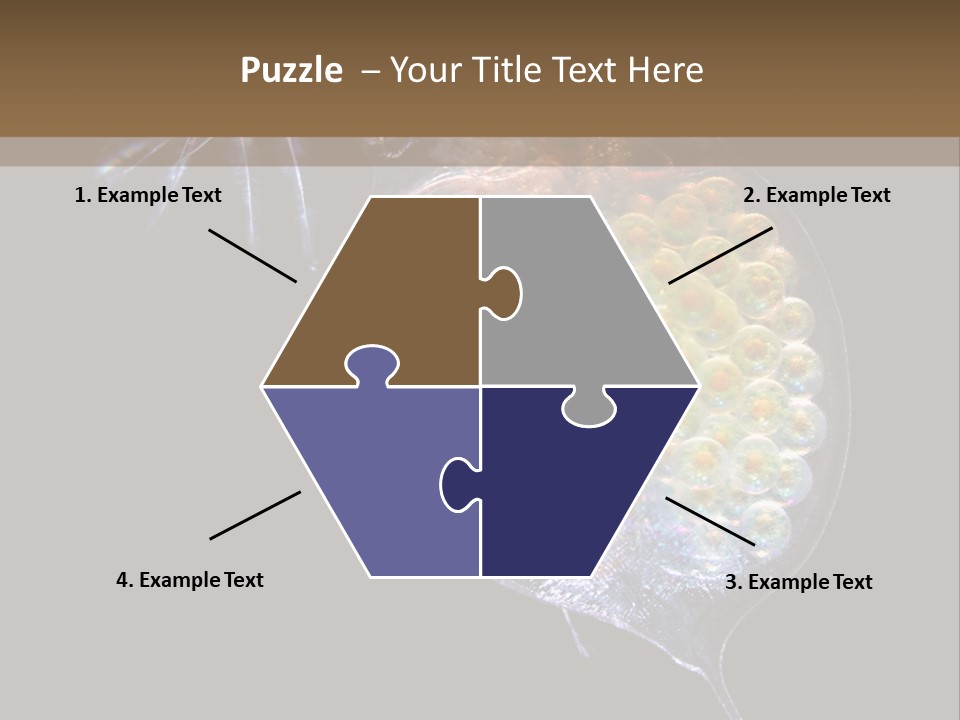 Biology Micro Lesson PowerPoint Template