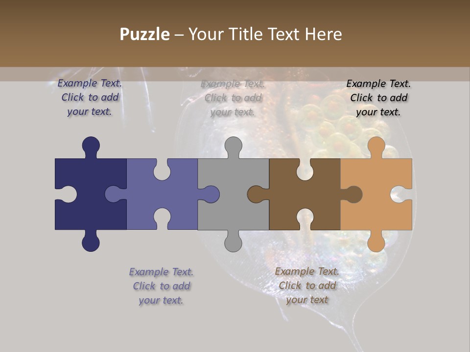 Biology Micro Lesson PowerPoint Template