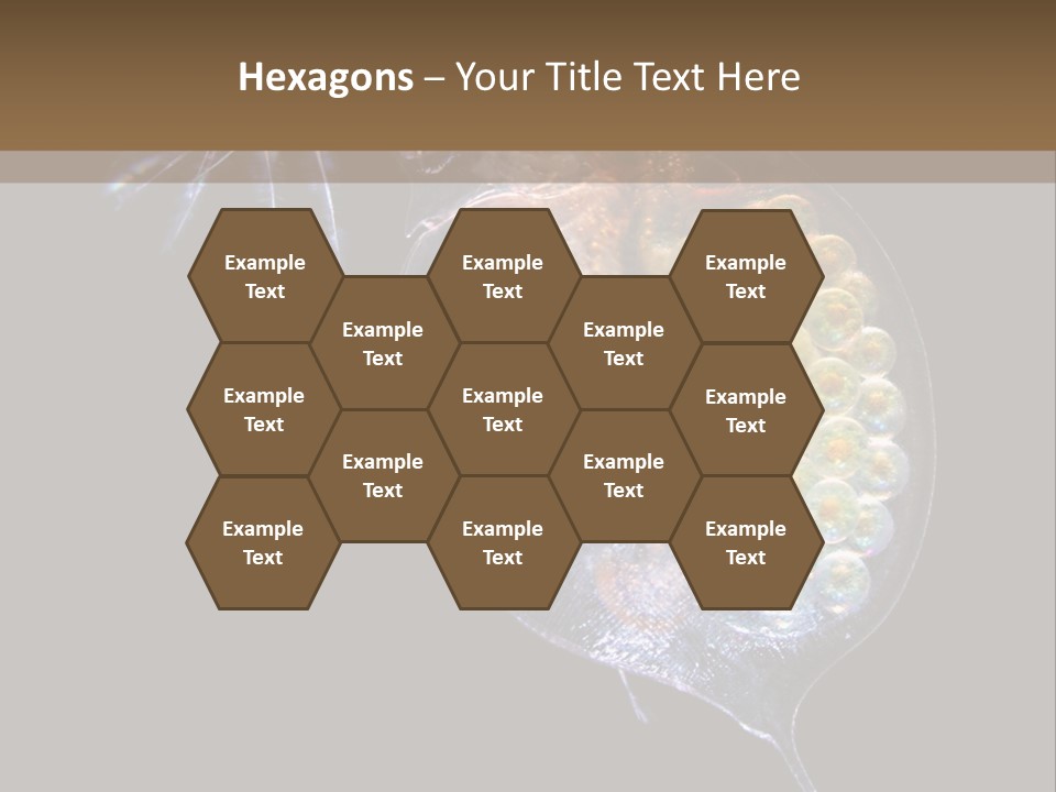 Biology Micro Lesson PowerPoint Template