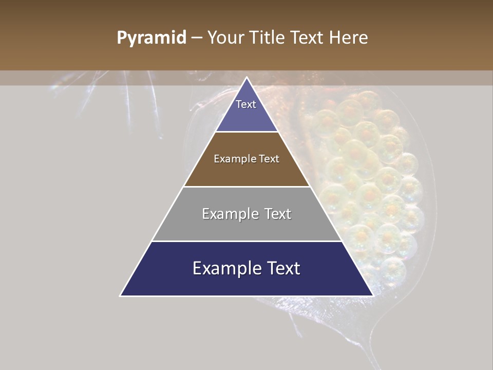 Biology Micro Lesson PowerPoint Template