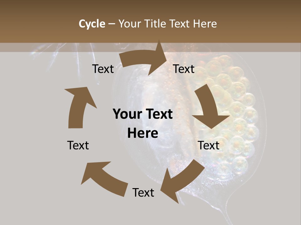 Biology Micro Lesson PowerPoint Template