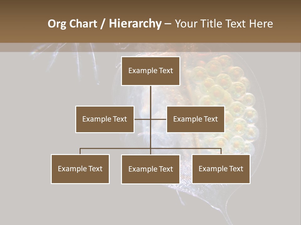 Biology Micro Lesson PowerPoint Template