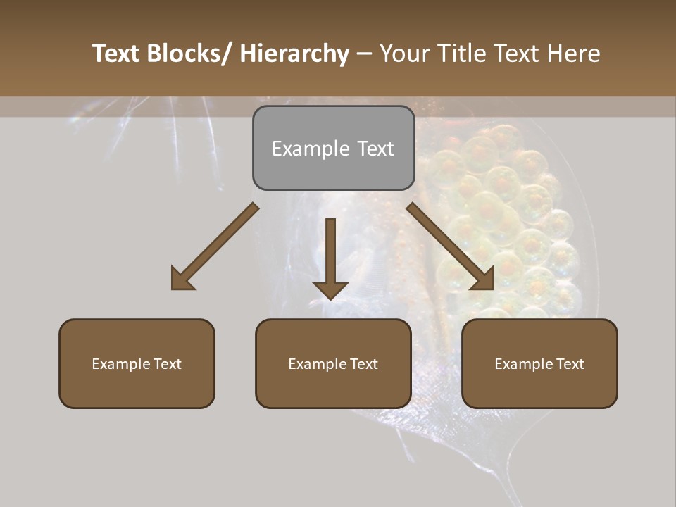 Biology Micro Lesson PowerPoint Template