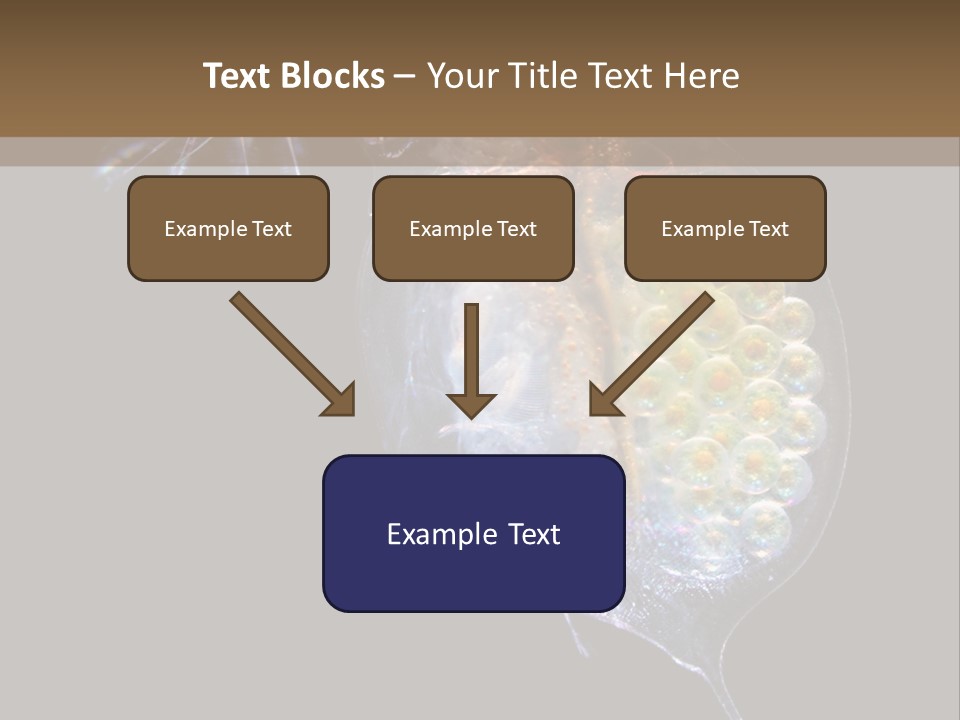Biology Micro Lesson PowerPoint Template