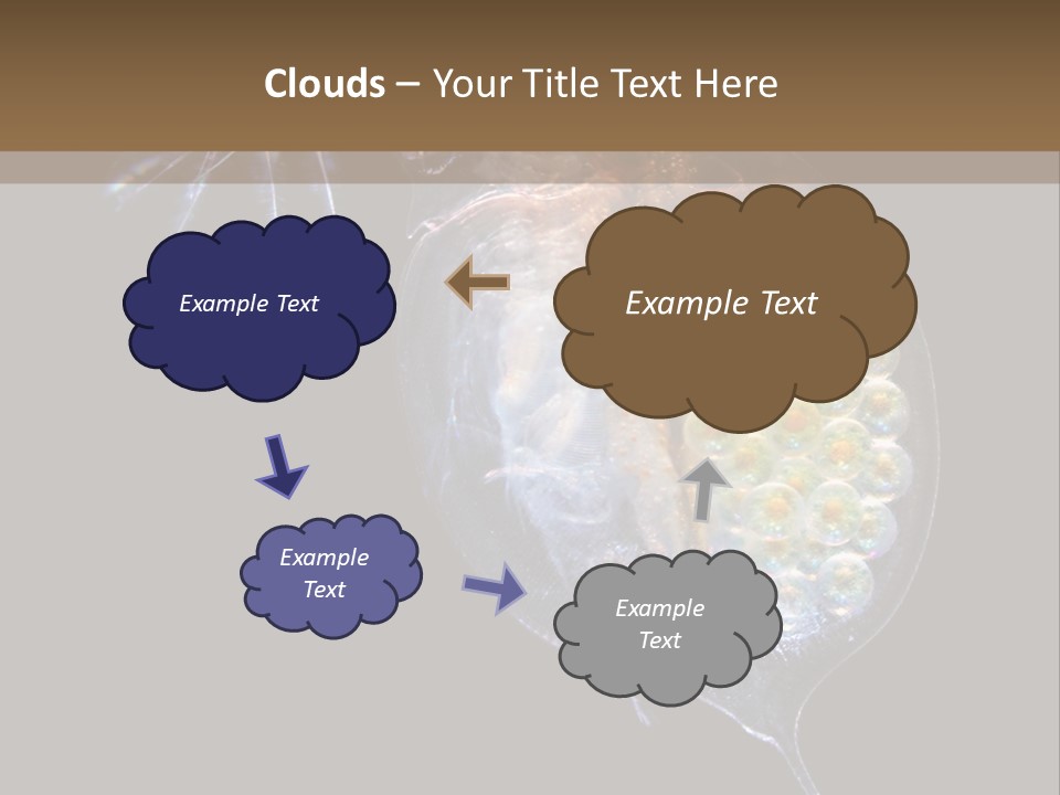 Biology Micro Lesson PowerPoint Template