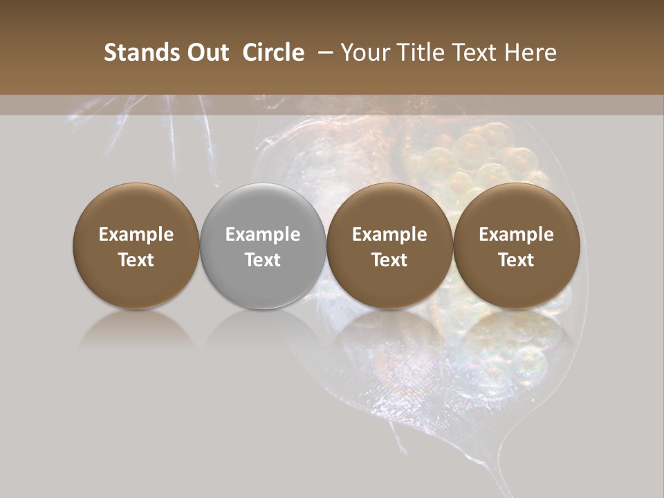 Biology Micro Lesson PowerPoint Template