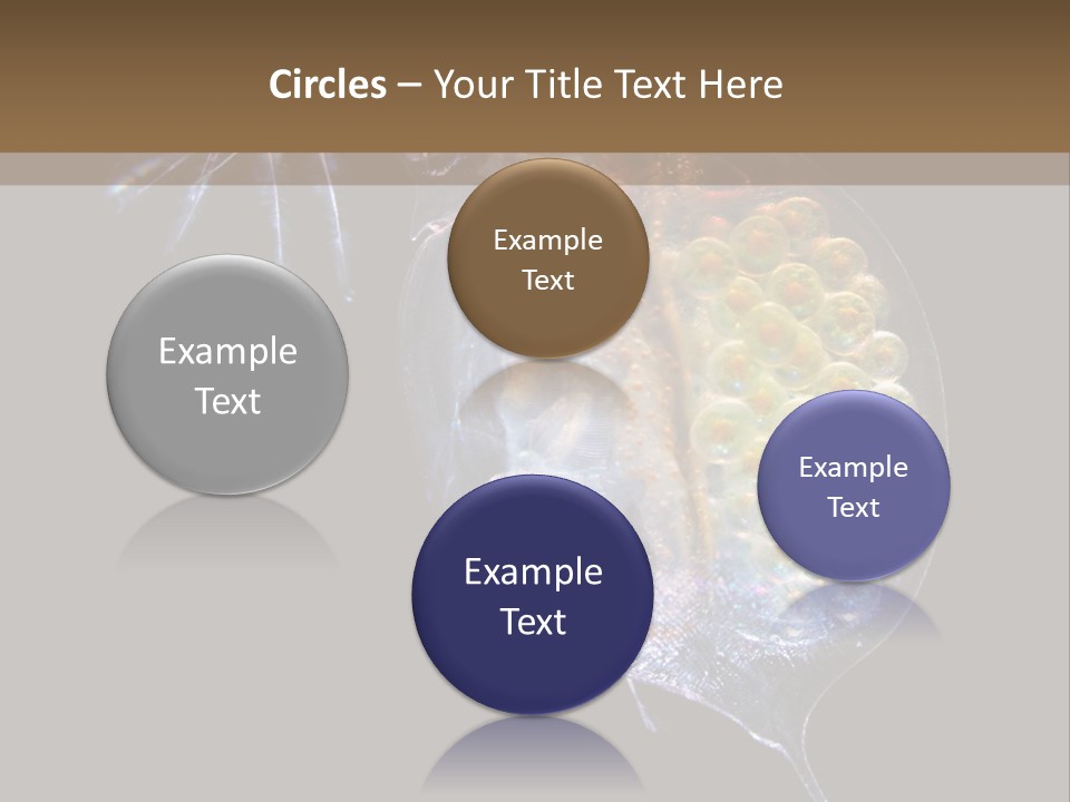 Biology Micro Lesson PowerPoint Template
