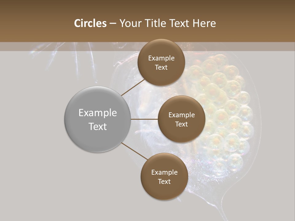 Biology Micro Lesson PowerPoint Template