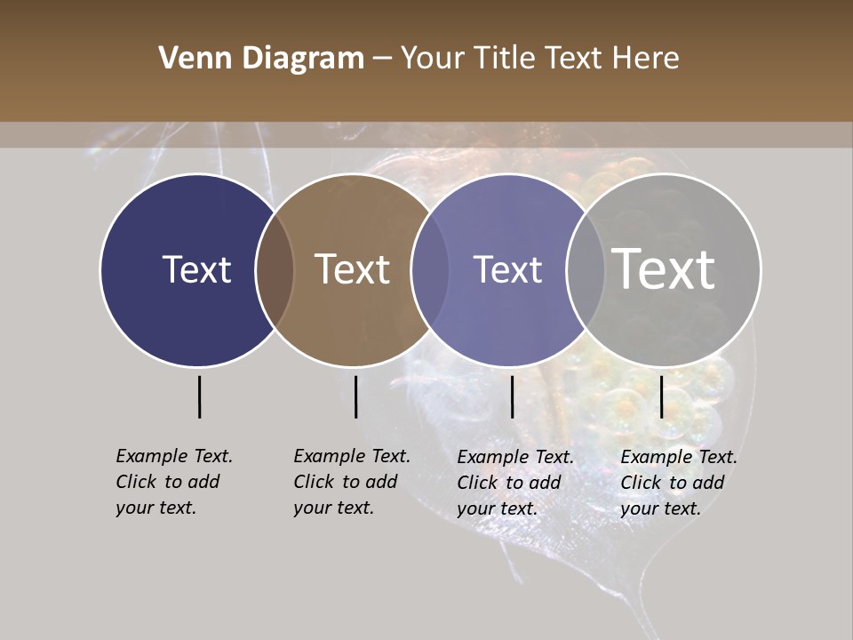 Biology Micro Lesson PowerPoint Template