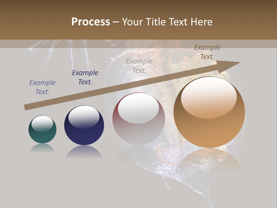 Biology Micro Lesson PowerPoint Template