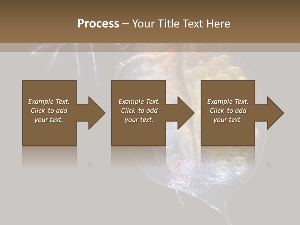 Biology Micro Lesson PowerPoint Template