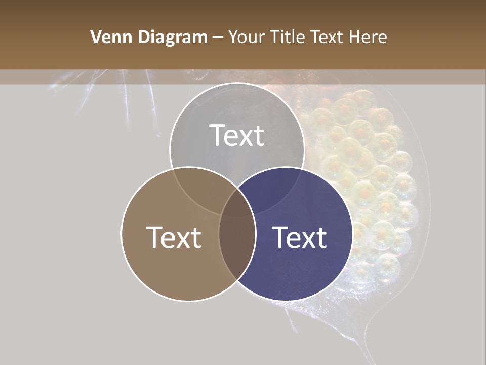 Biology Micro Lesson PowerPoint Template