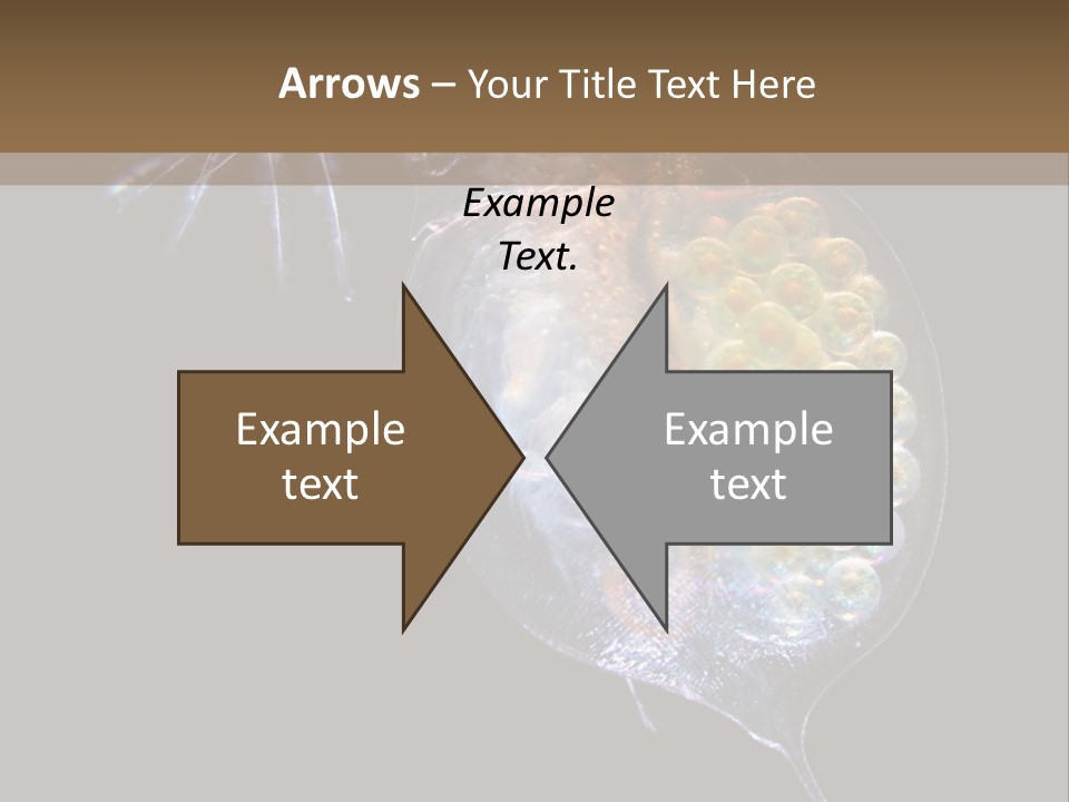 Biology Micro Lesson PowerPoint Template
