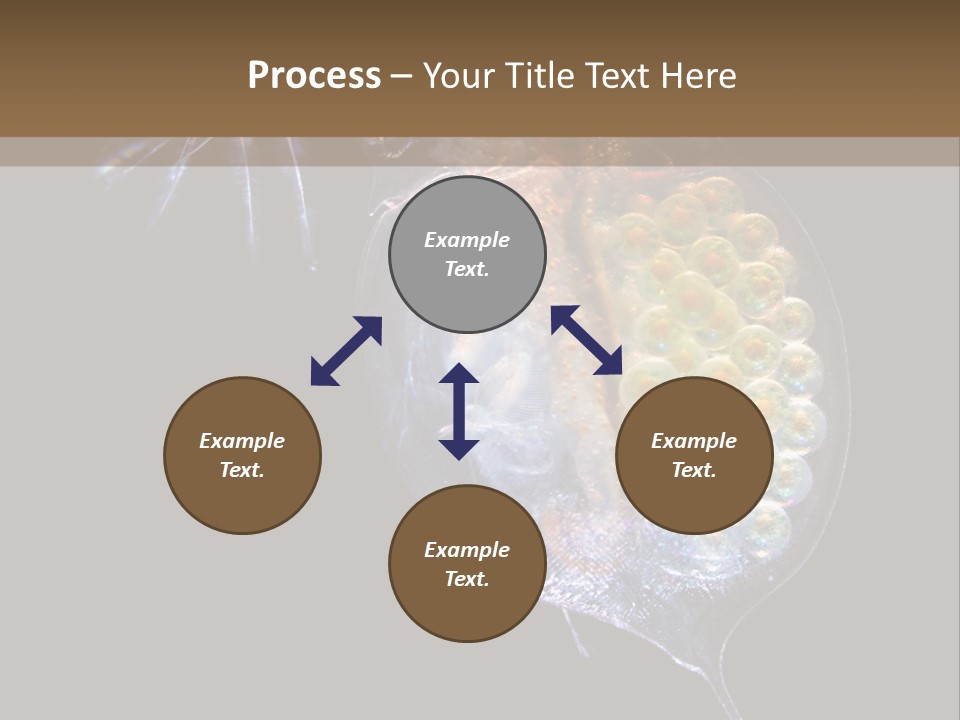 Biology Micro Lesson PowerPoint Template
