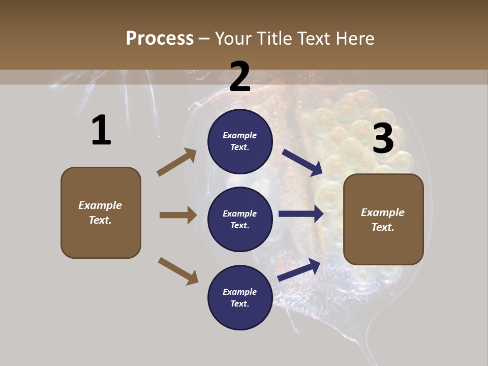 Biology Micro Lesson PowerPoint Template